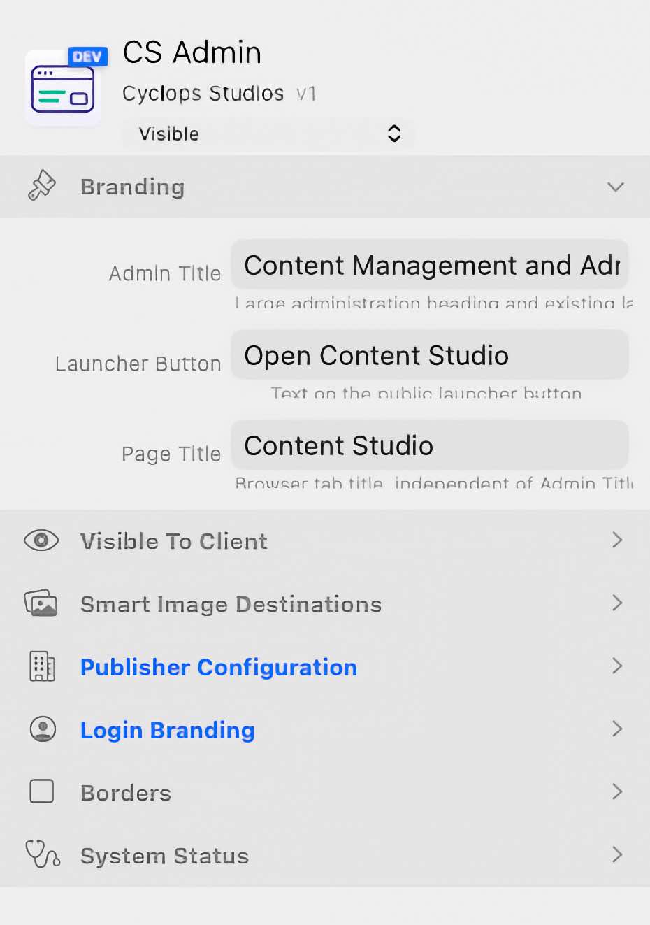 CS Admin Branding controls for Admin Title, Launcher Button, and Page Title.